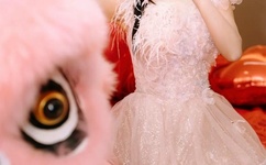 同性男男GV在线观看播放